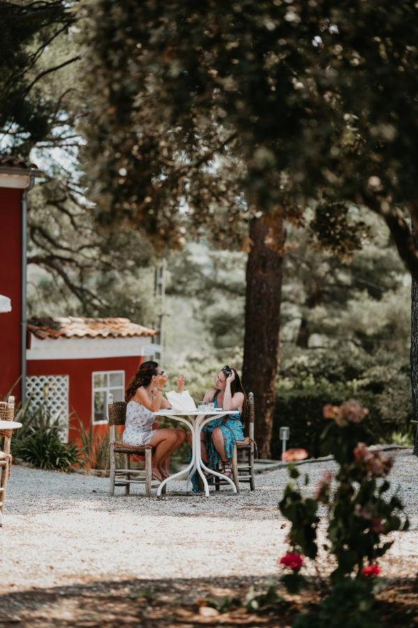 Le Cigalon Bed & Breakfast Le Beausset Luaran gambar